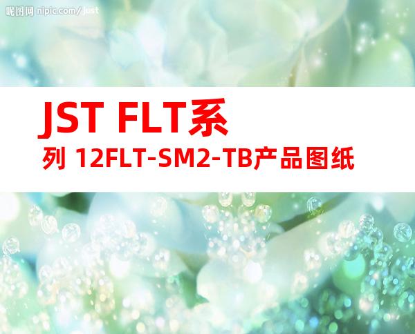 JST FLT系列 12FLT-SM2-TB产品图纸